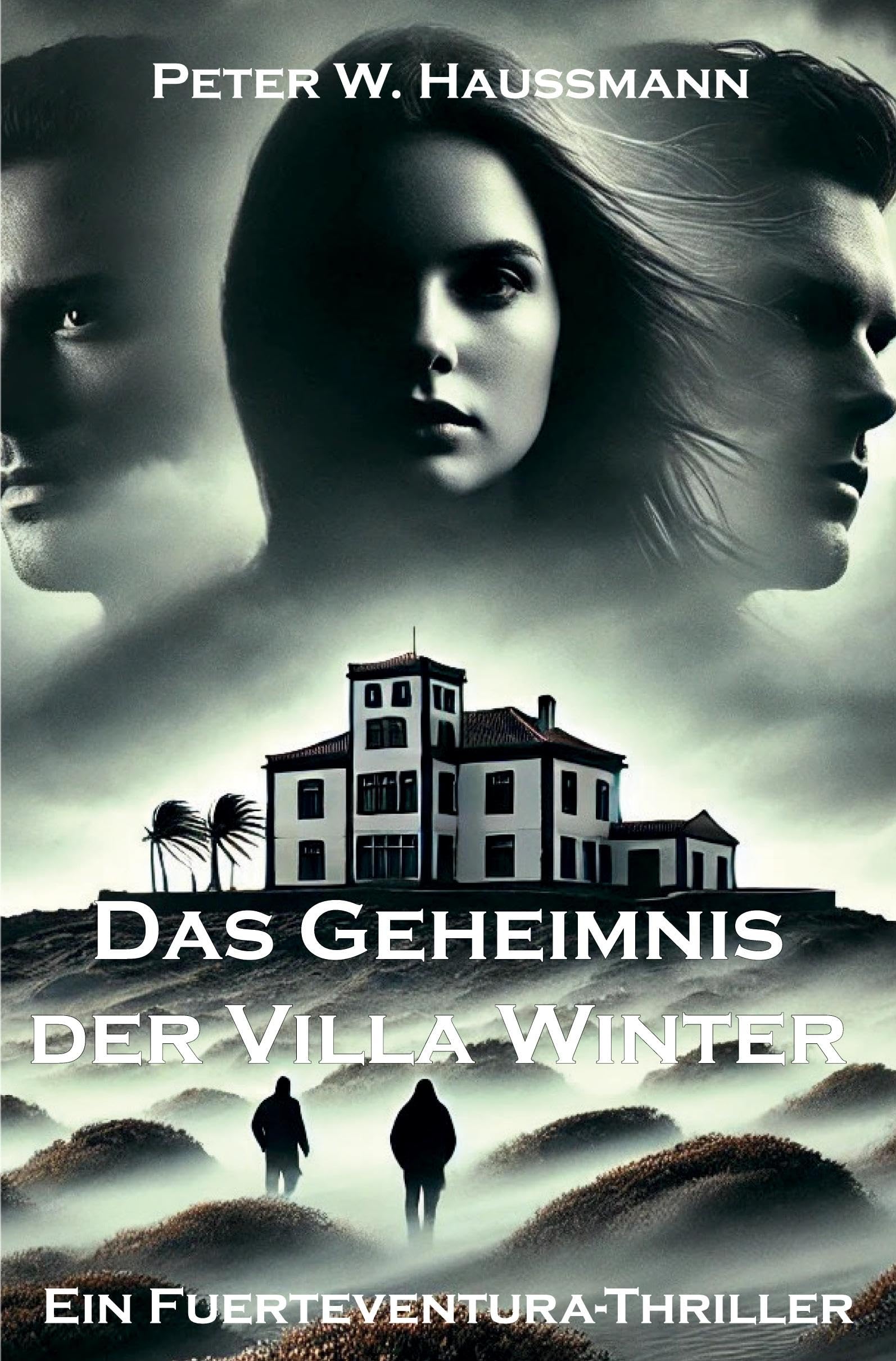 Das Geheimnis der Villa Winter Contemporary literature