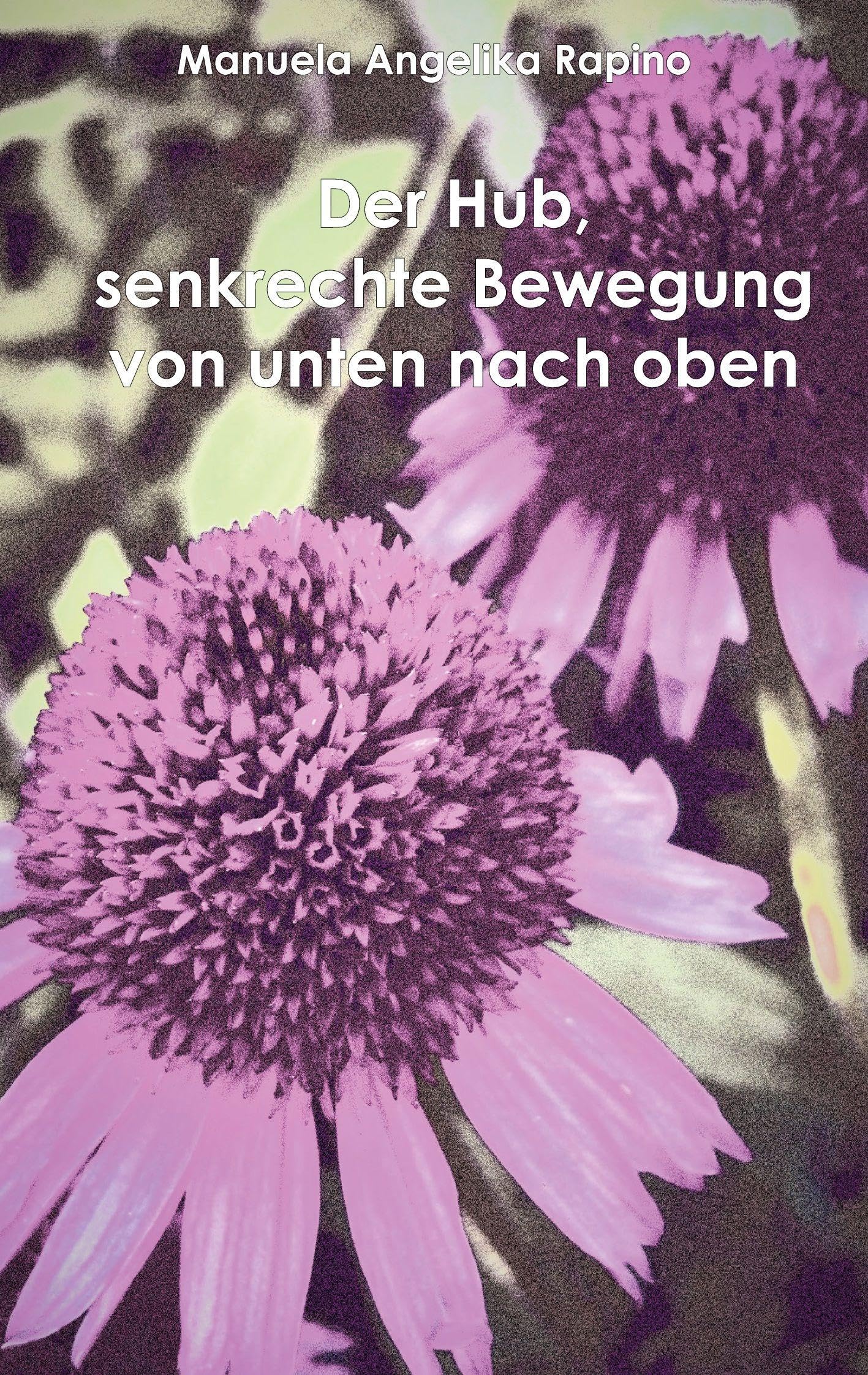 Der Hub, senkrechte Bewegung von unten nach oben Natural Sciences