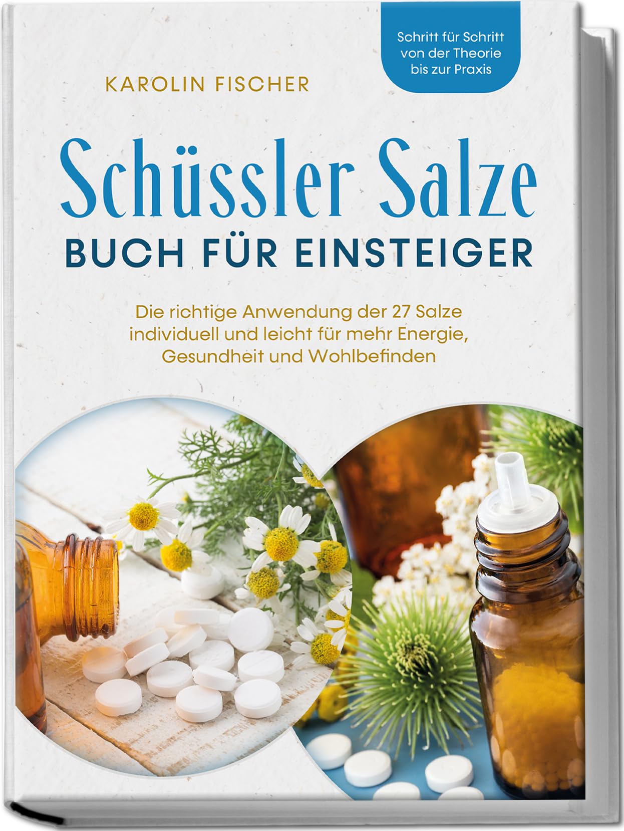 Schüssler Salze Buch für Einsteiger: Die richtige Anwendung der 27 Salze individuell und leicht für mehr Energie, Gesundheit und Wohlbefinden - Schritt für Schritt von der Theorie bis zur Praxis Health, Nutrition & Fitness