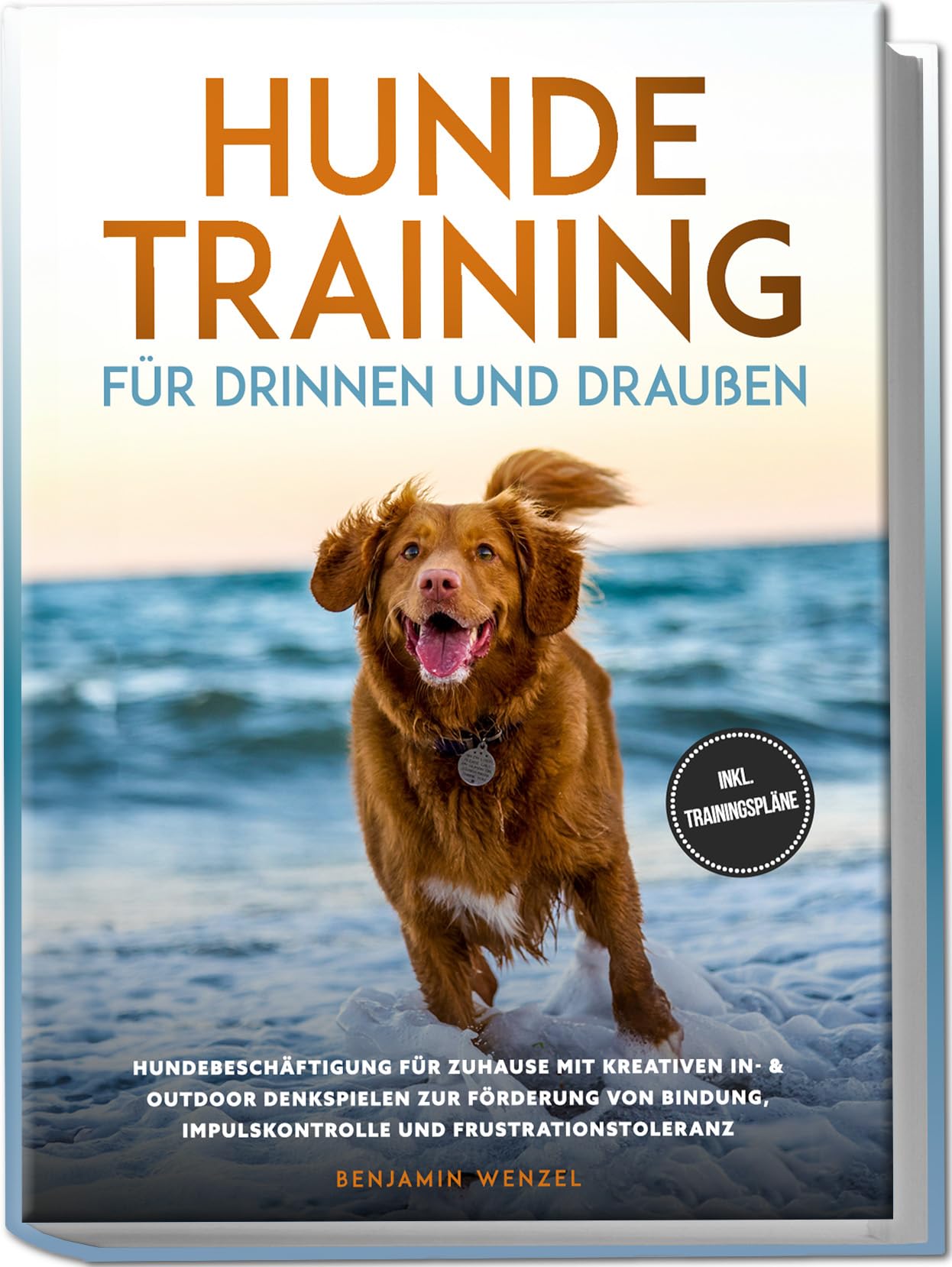 Hundetraining für drinnen und draußen: Hundebeschäftigung für zuhause mit kreativen In- & Outdoor Denkspielen zur Förderung von Bindung, Impulskontrolle und Frustrationstoleranz - inkl. Trainingspläne Medicine