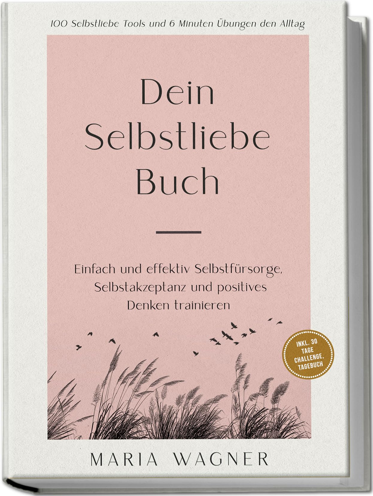 Dein Selbstliebe Buch: 100 Selbstliebe Tools und 6 Minuten Übungen den Alltag -Einfach und effektiv Selbstfürsorge, Selbstakzeptanz und positives Denken trainieren - inkl. 30 Tage Challenge, Tagebuch Social Sciences