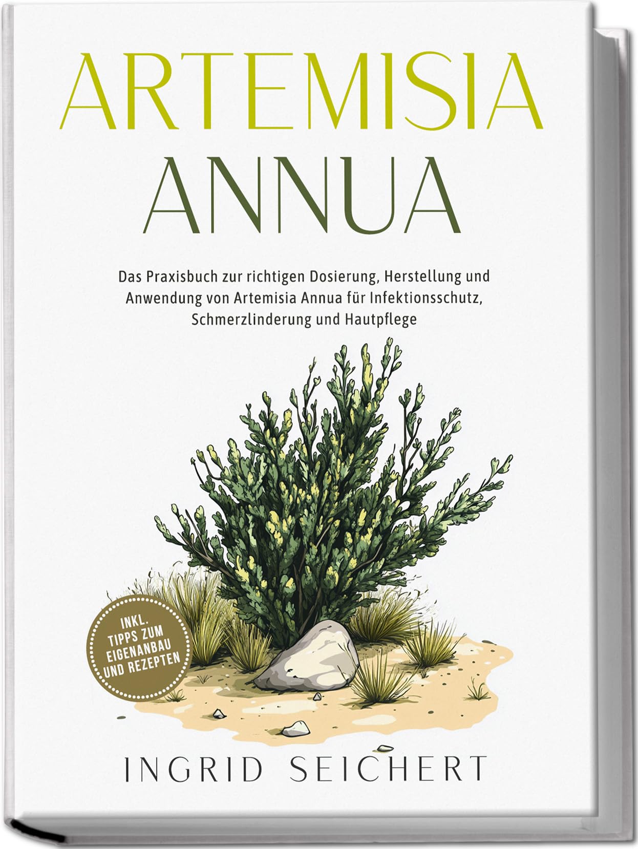 Artemisia Annua: Das Praxisbuch zur richtigen Dosierung, Herstellung und Anwendung von Artemisia Annua für Infektionsschutz, Schmerzlinderung und Hautpflege - inkl. Tipps zum Eigenanbau und Rezepten Garden & Plants
