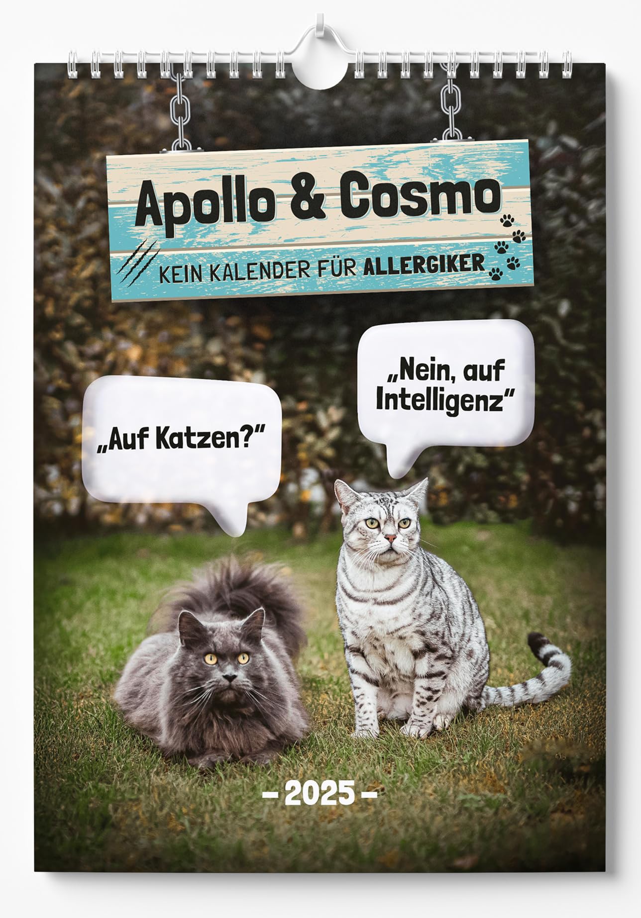 Apollo & Cosmo - Kein Kalender für Allergiker: Katzen-Kalender 2025 - Wandkalender A3 mit Spiralbindung - Süße Katzen Bilder und lustige Sprüche für das ganze Jahr Lifestyle