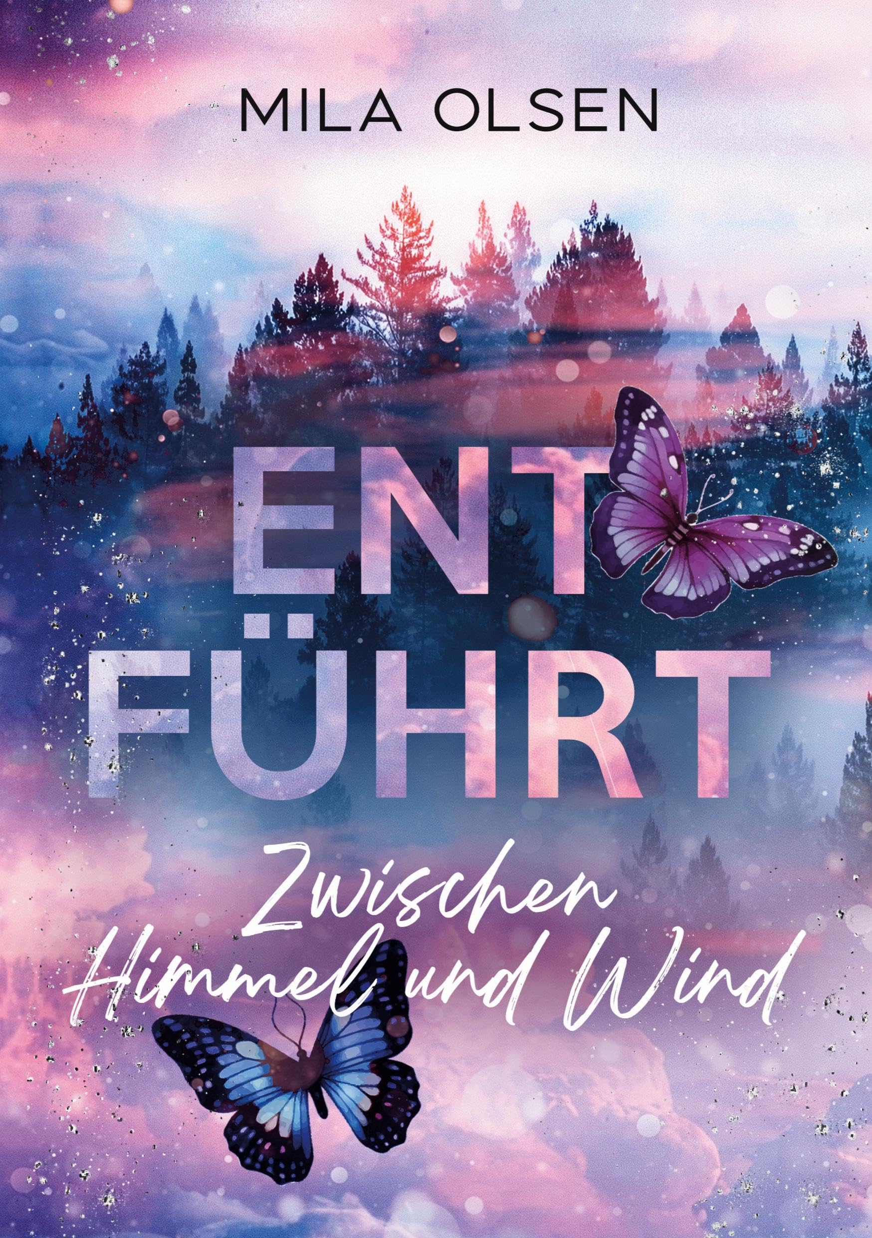 Entführt - Zwischen Himmel und Wind Contemporary literature