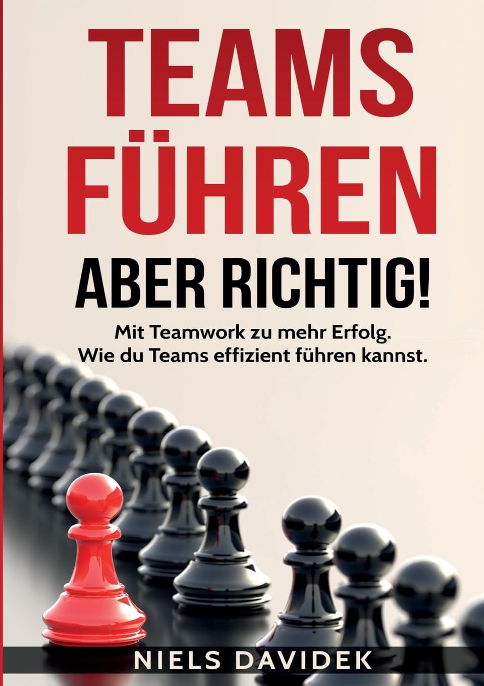 Teams führen - aber richtig!: Mit Teamwork zu mehr Erfolg. Wie du Teams effizient führen kannst. Law