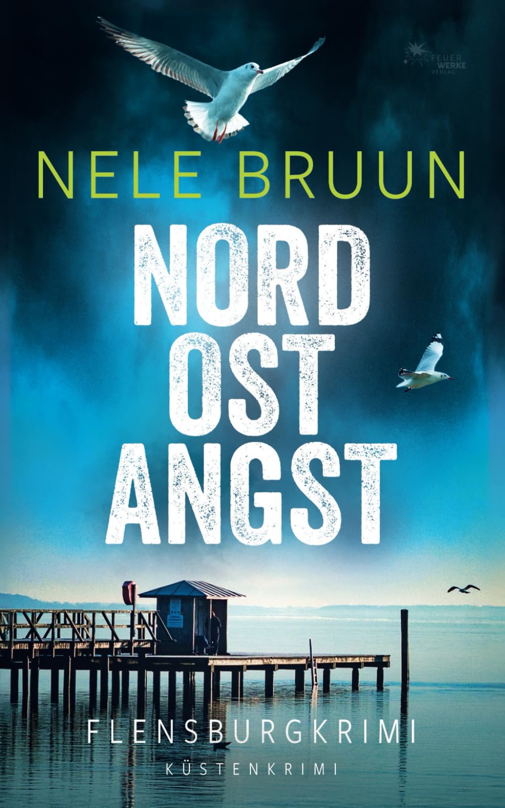 NordOstAngst (Flensburg-Krimi) (Küstenkrimi) Action & Adventure