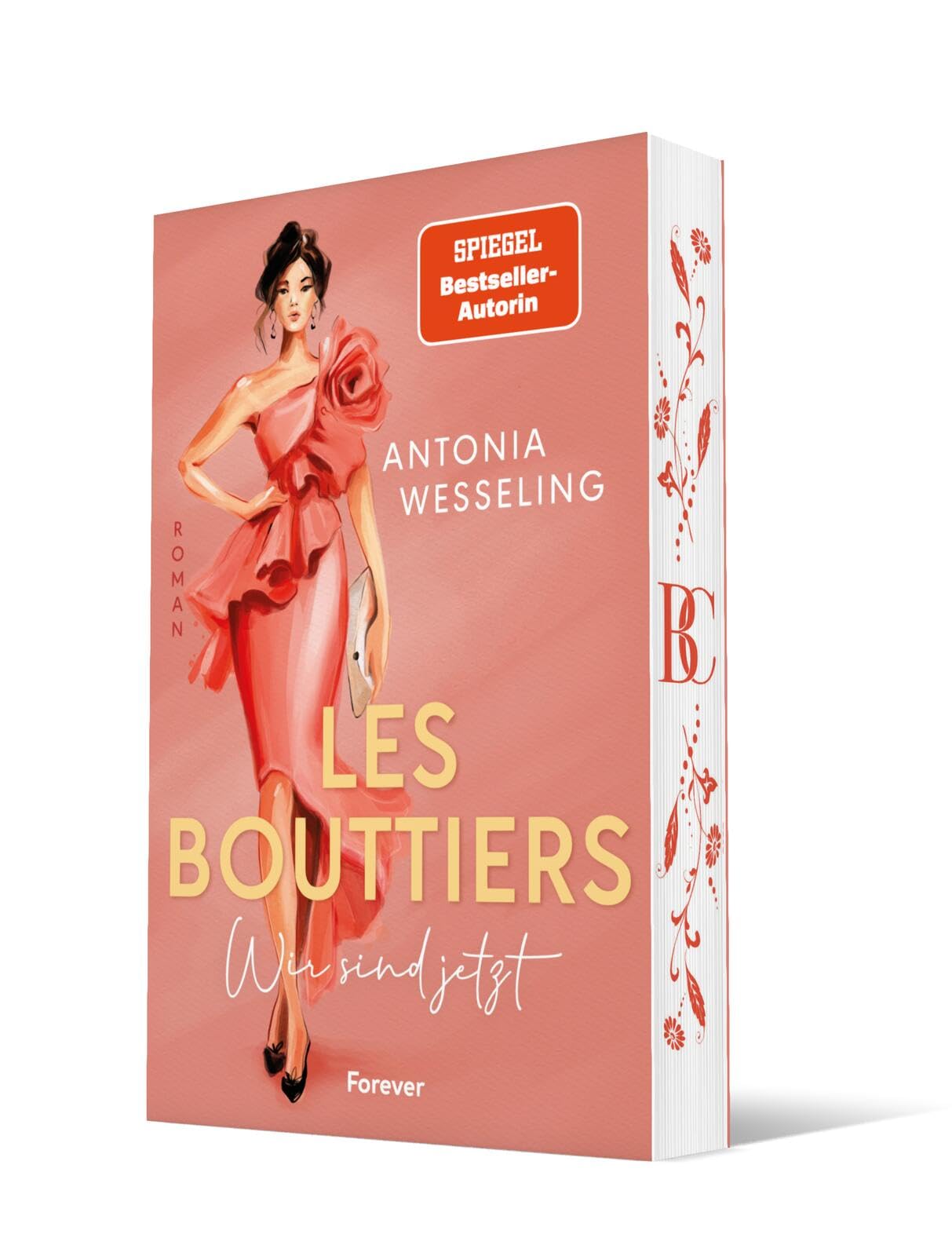 Les Bouttiers - Wir sind jetzt Contemporary literature