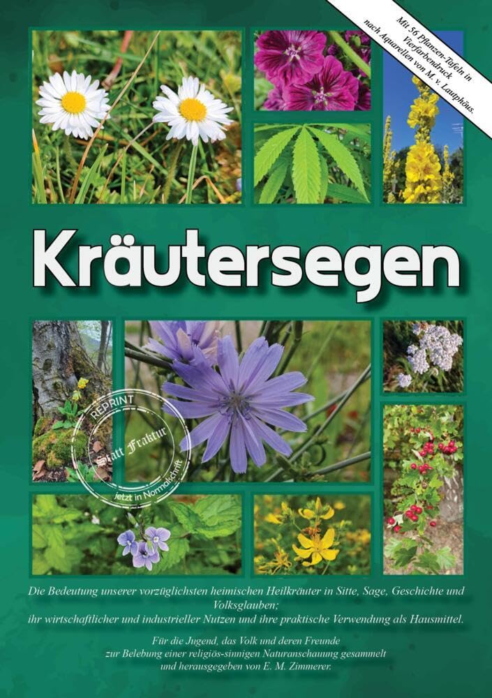 Kräutersegen: Die Bedeutung unserer vorzüglichsten heimischen Heilkräuter in Sitte, Sage, Geschichte u. Volksglauben; ihr wirtschaftlicher und ... Heilpflanzen bis zum Heilzauber - Reprints) Leisure, Home & Garden