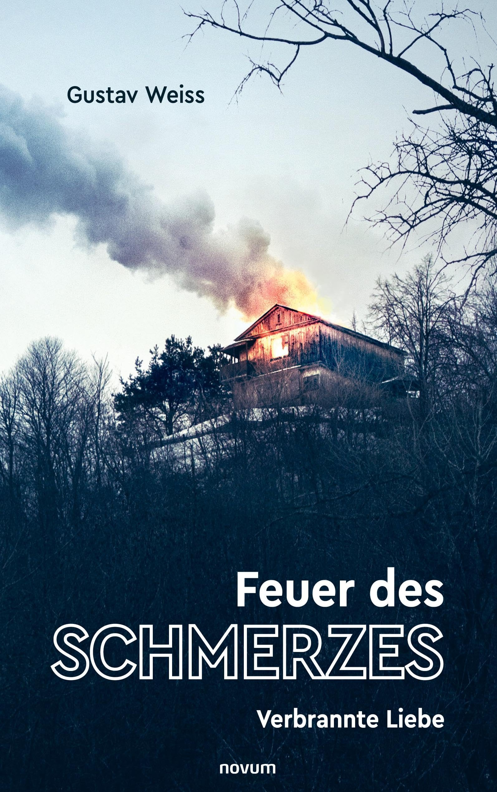 Feuer des Schmerzes: Verbrannte Liebe Contemporary literature