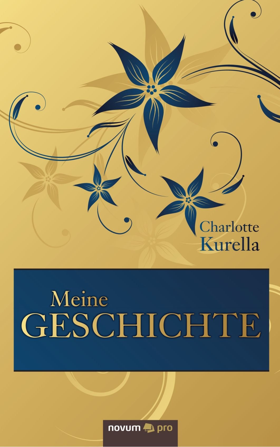 Meine Geschichte: Erlebnisse Beim Einmarsch der Russen 1945 in Pommern Contemporary literature