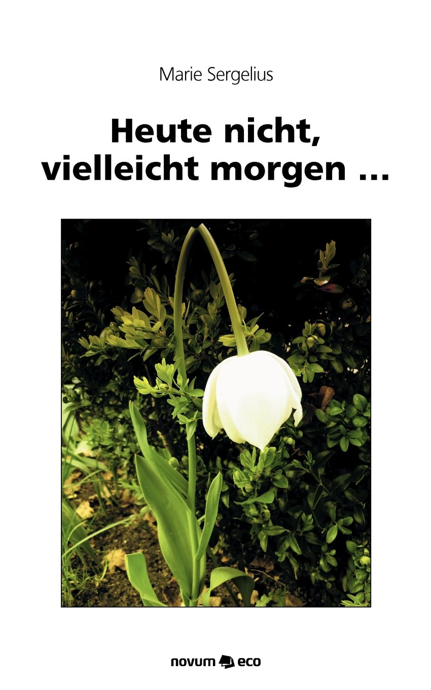 Heute nicht, vielleicht morgen . . .: Leben und überleben . . . Contemporary literature