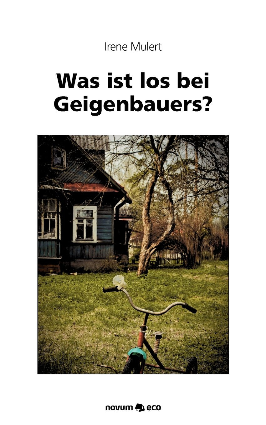 Was ist los bei Geigenbauers? Contemporary literature