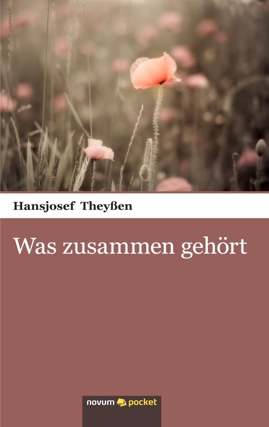 Was Zusammen Gehört: Wenn alles in Scherben fällt Contemporary literature