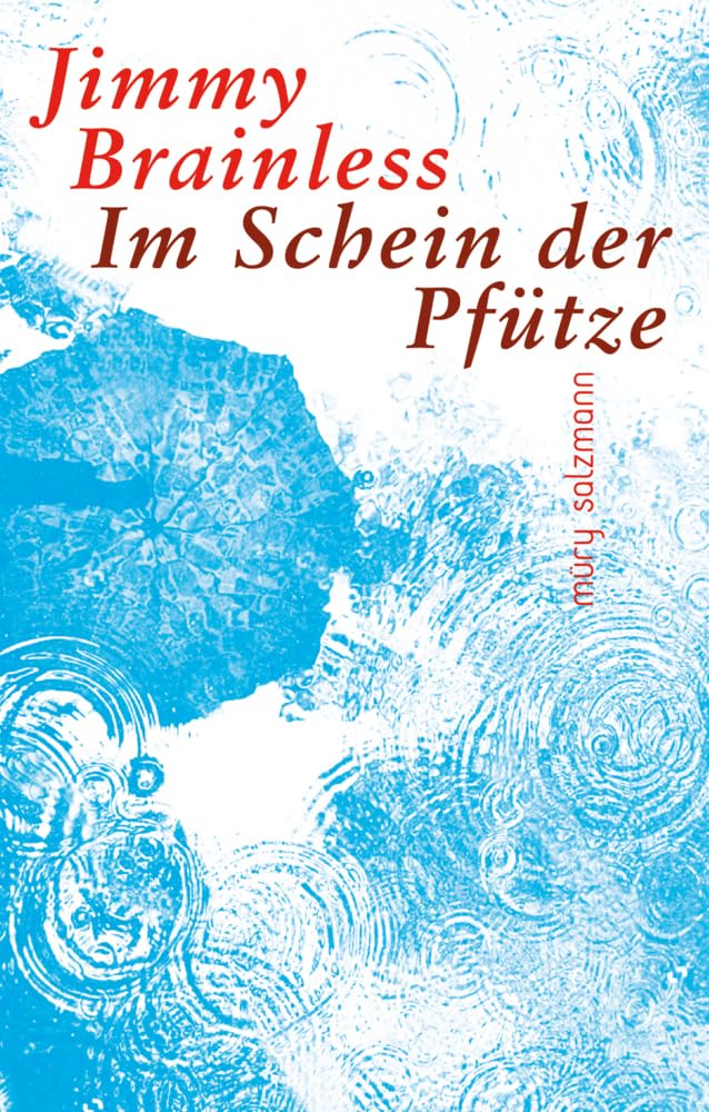 Im Schein der Pfütze: Roman Contemporary literature