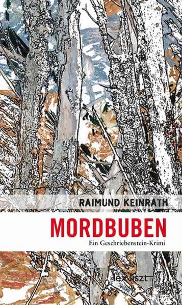 Mordbuben: Ein Geschriebenstein-Krimi Contemporary literature