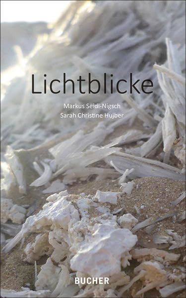 Lichtblicke Fiction Books