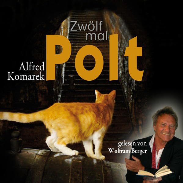 Zwölf mal Polt: Kriminalgeschichten Contemporary literature