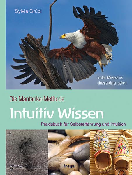Product Image: Intuitiv Wissen
