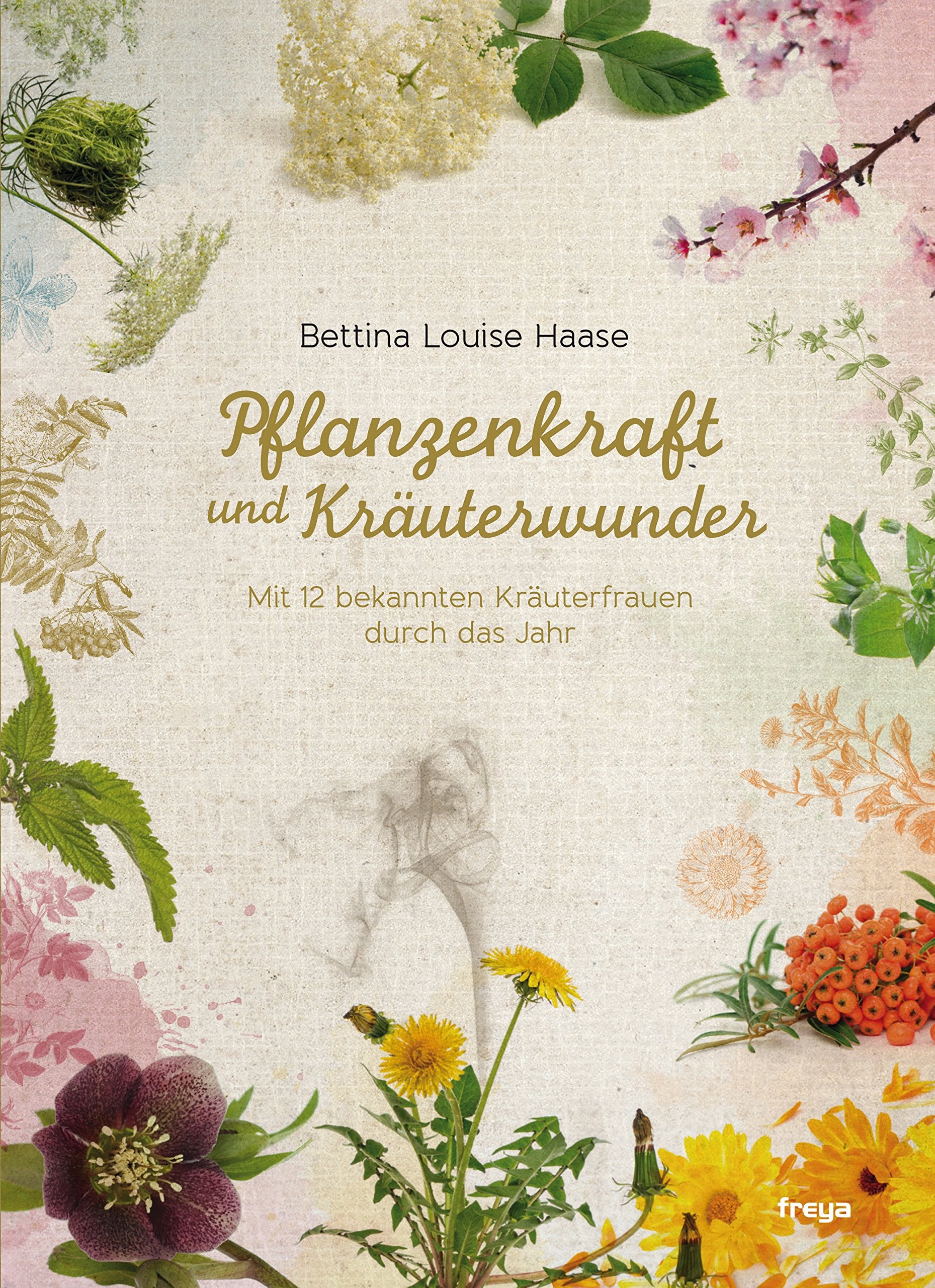Pflanzenkraft und Kräuterwunder: Mit 12 bekannten Kräuterfrauen durch das Jahr Leisure, Home & Garden