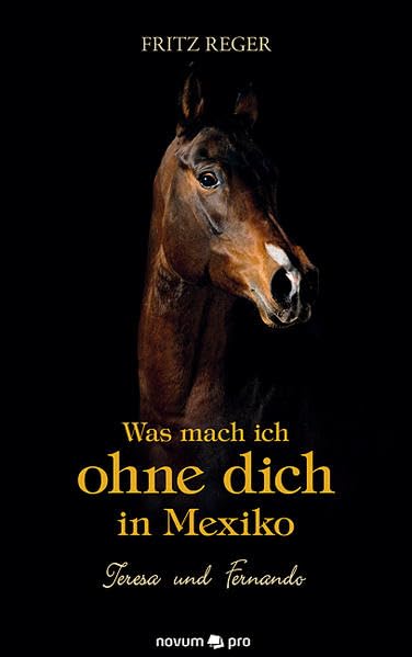 Was Mach ich ohne dich in Mexiko: Teresa und Fernando Contemporary literature