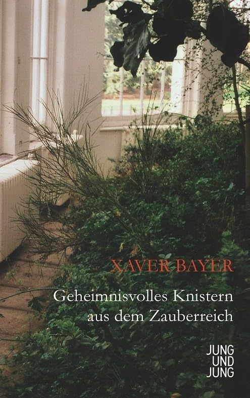 Geheimnisvolles Knistern aus dem Zauberreich Contemporary literature