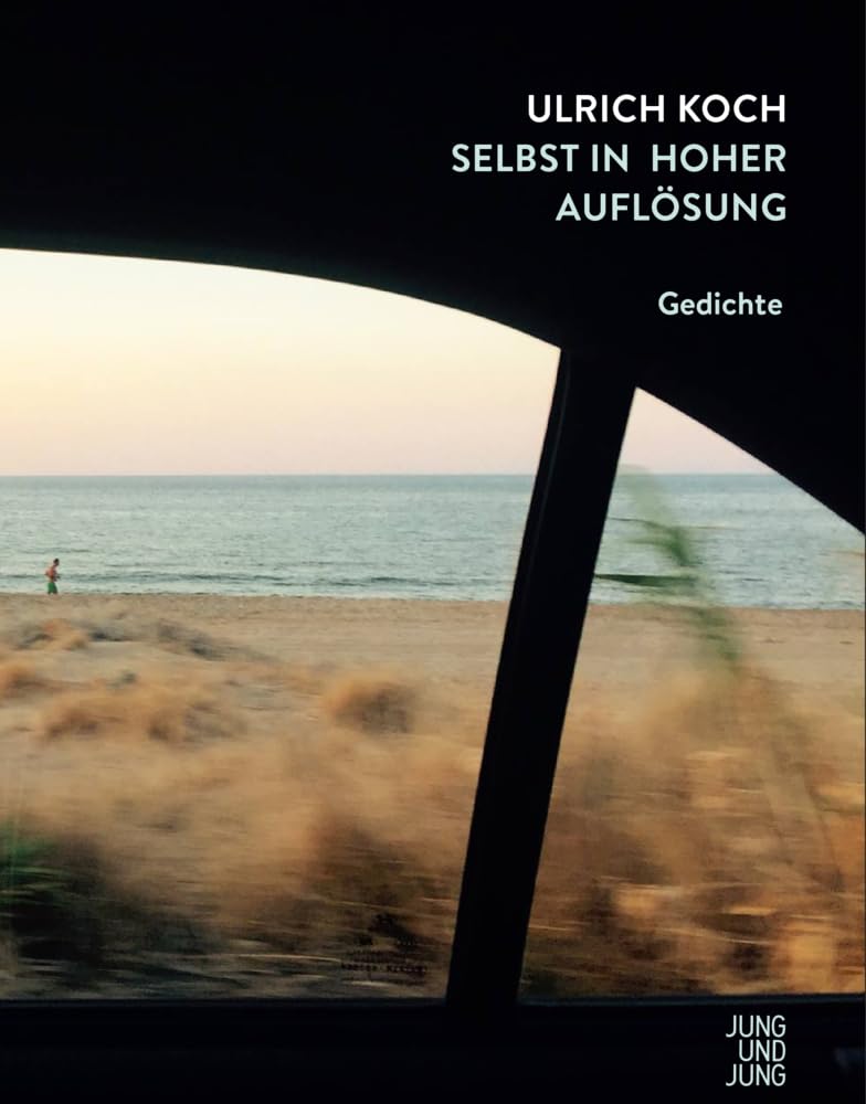 Selbst in hoher Auflösung: Gedichte Contemporary literature