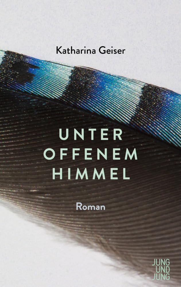 Unter offenem Himmel: Roman Contemporary literature