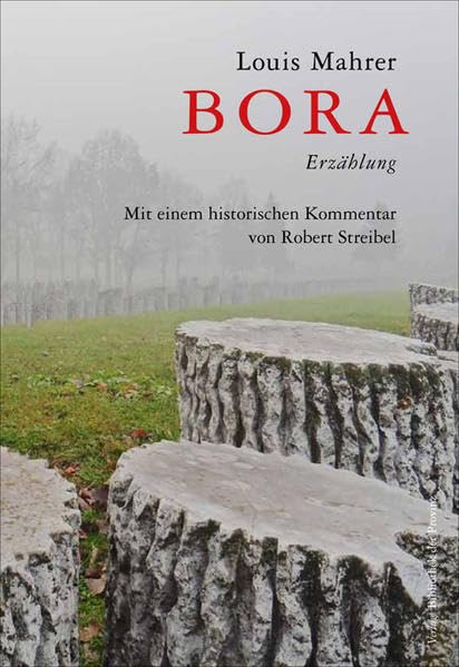 Bora: Erzählung Contemporary literature Books