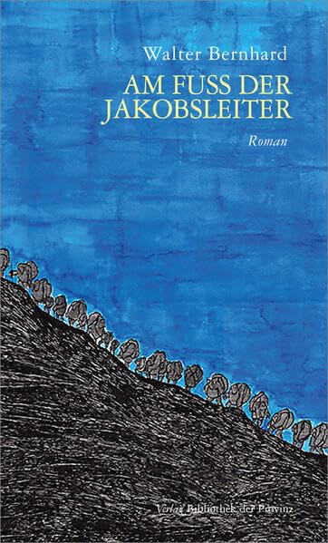 Am Fuss der Jakobsleiter: Roman Contemporary literature