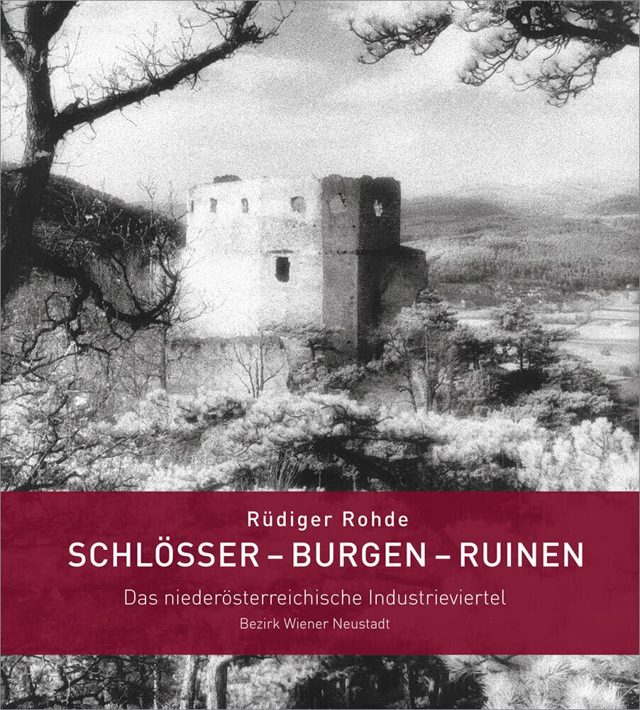Schlösser – Burgen – Ruinen: Das niederösterreichische Industrieviertel, Bezirk Wiener Neustadt Architecture