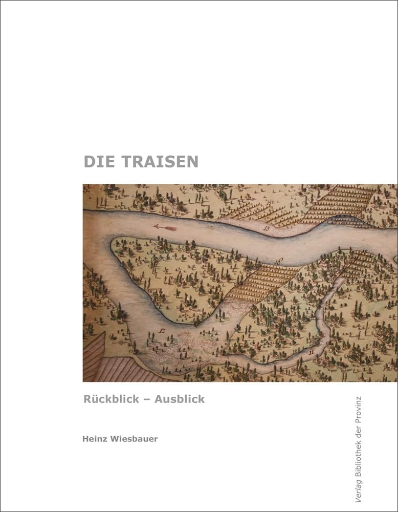 Die Traisen: Rückblick – Ausblick book