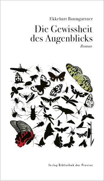 Die Gewissheit des Augenblicks: Roman Contemporary literature