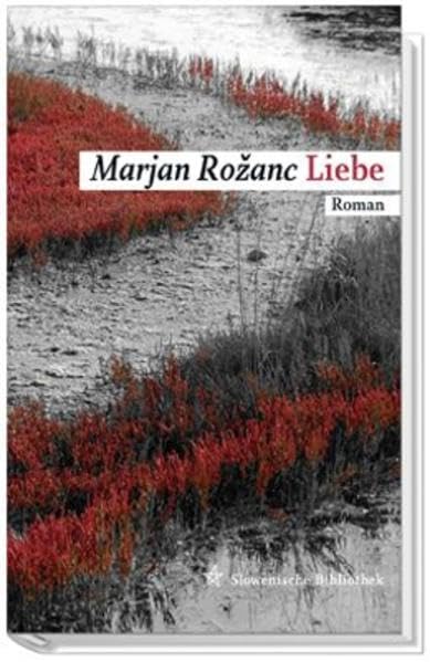 Liebe: Roman (Slowenische Bibliothek) Contemporary literature