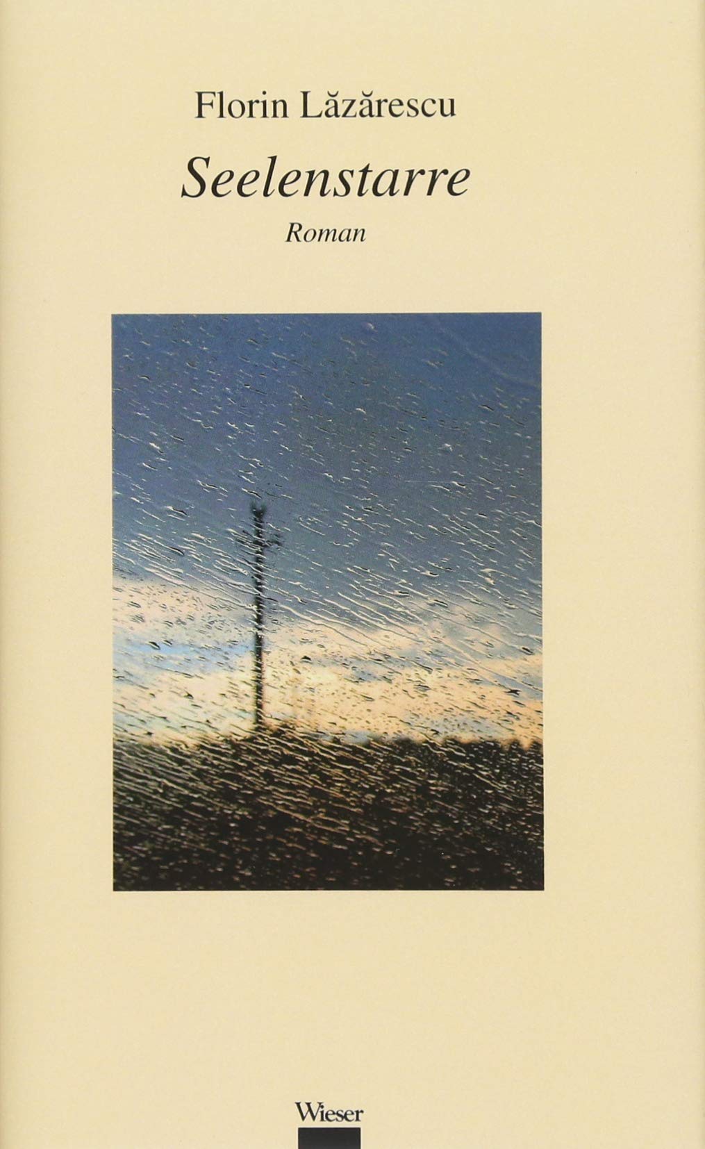 Seelenstarre: Roman Contemporary literature