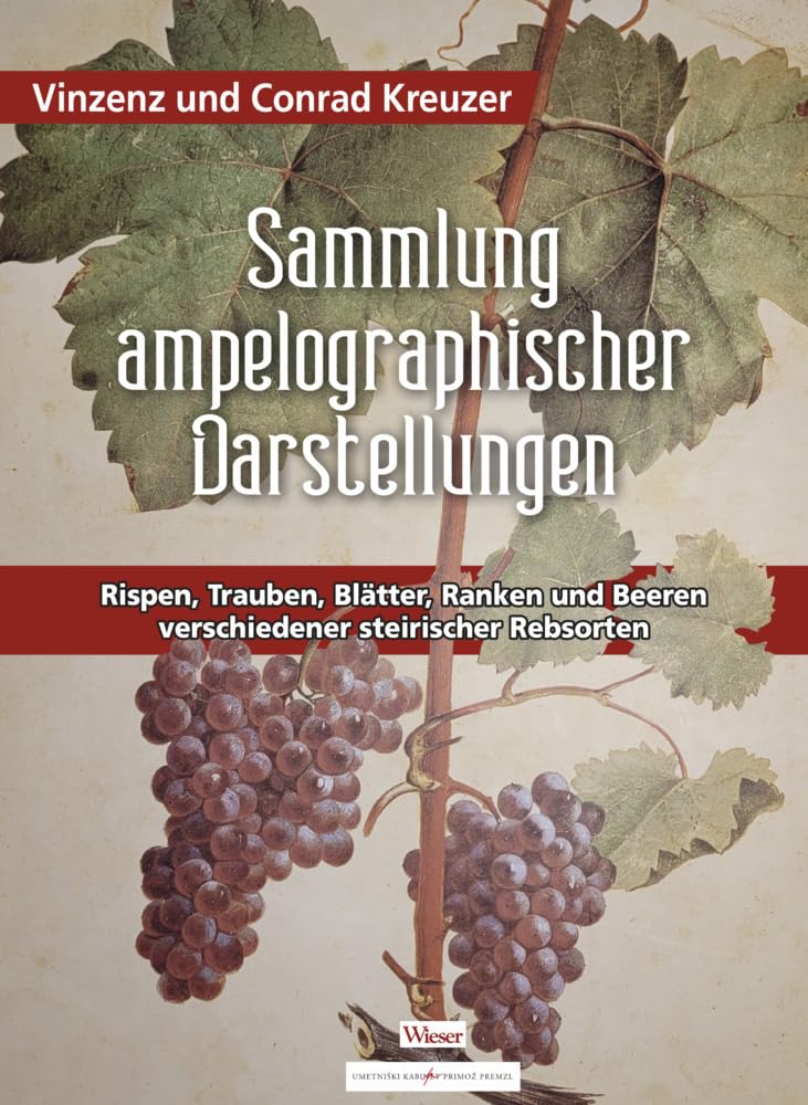 Sammlung ampelographischer Darstellungen: Rispen, Trauben, Blätter, Ranken und Beeren verschiedener steirischer Rebsorten Film, Art & Culture