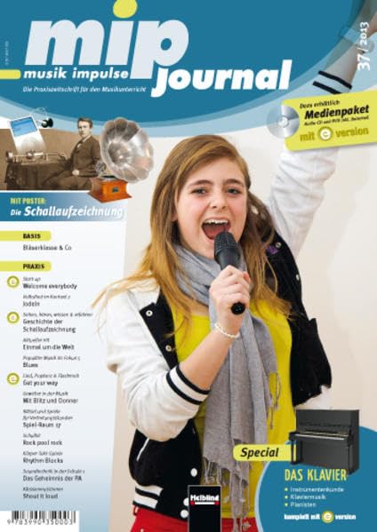 Product Image: mip-journal 37/2013, Heft