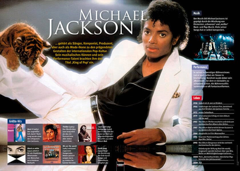 Poster Sekundarstufe: Michael Jackson (Instrumenten-Poster: Instrumentenkunde im Großformat) Arts & Music