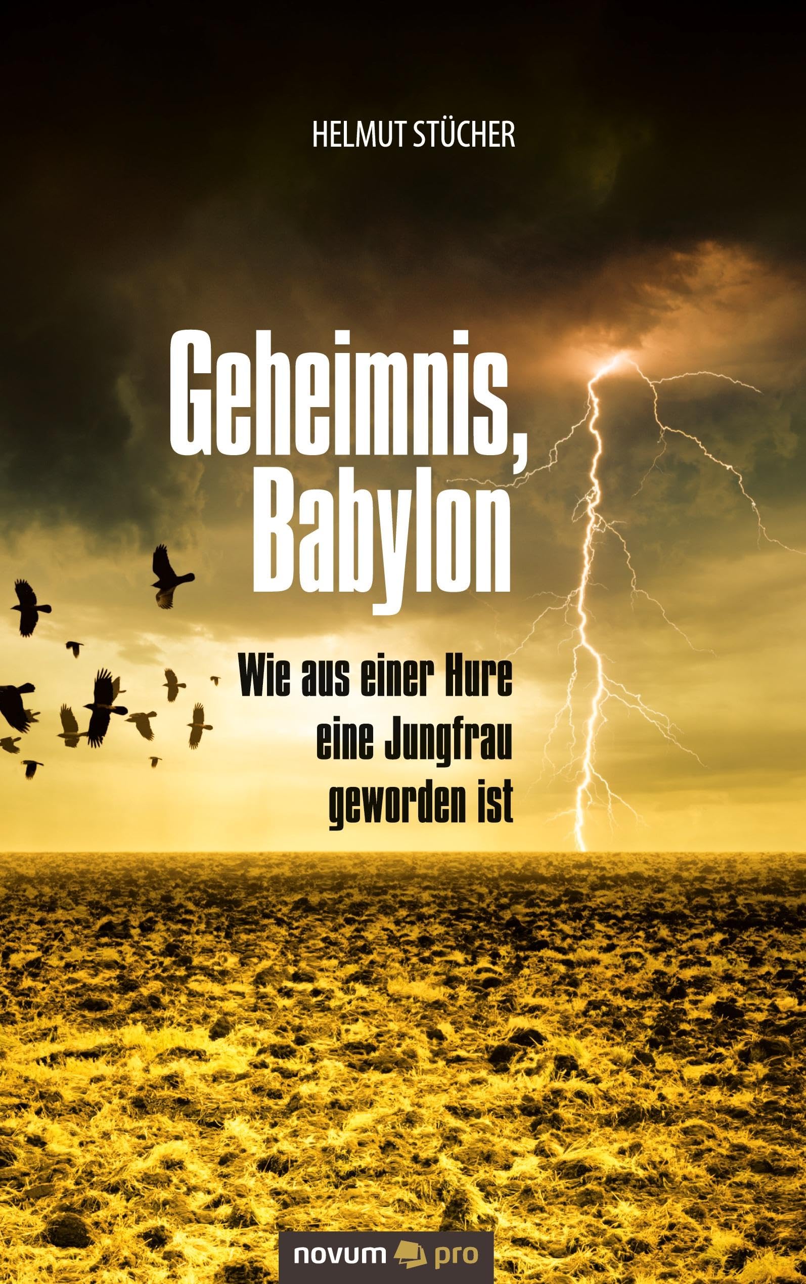 Geheimnis, Babylon - Wie aus einer Hure eine Jungfrau geworden ist book