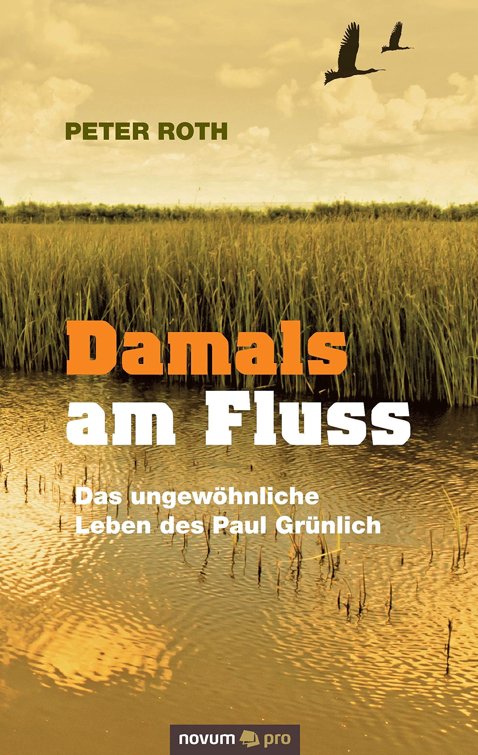 Damals am Fluss Contemporary literature Books