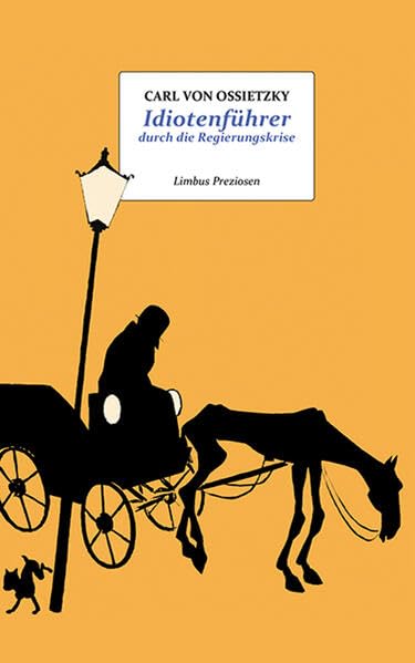 Idiotenführer durch die Regierungskrise Essays & Short Stories