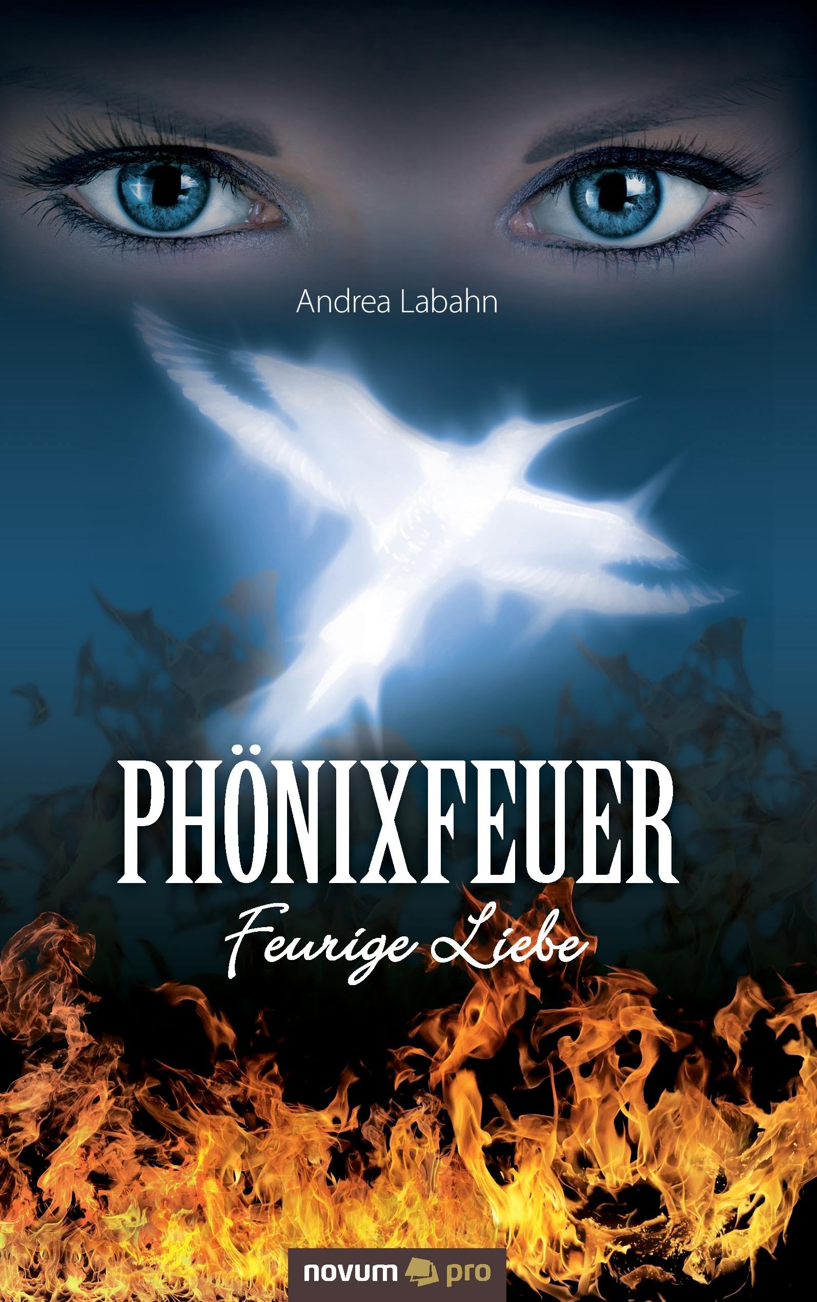 Phönixfeuer Contemporary literature Books