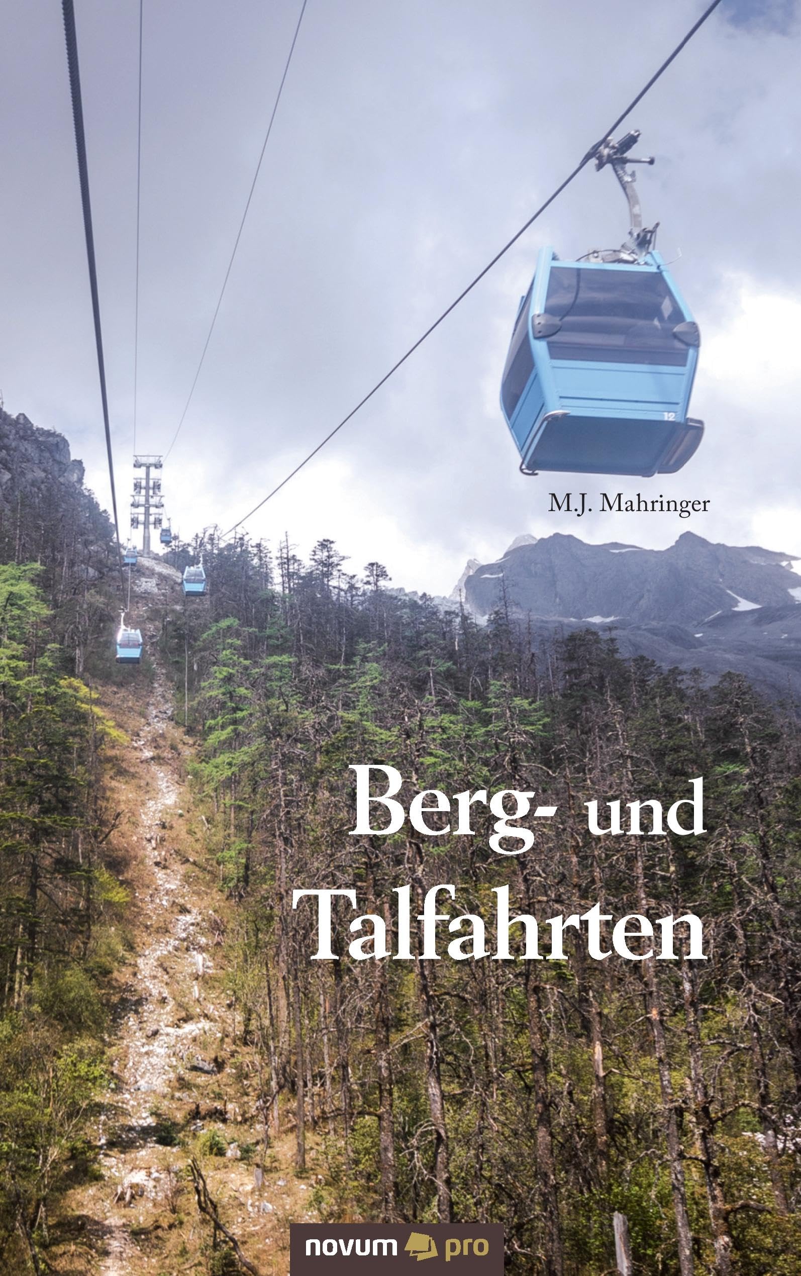 Berg- und Talfahrten Poetry