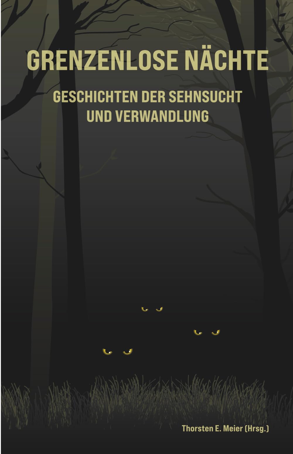 Grenzenlose Nächte - Geschichten der Sehnsucht und Verwandlung Essays & Short Stories
