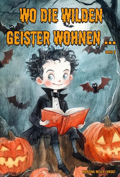 Wo die wilden Geister wohnen ... Schaurig-schöne Gruselgeschichten für Kinder - Band 7 Non-fiction