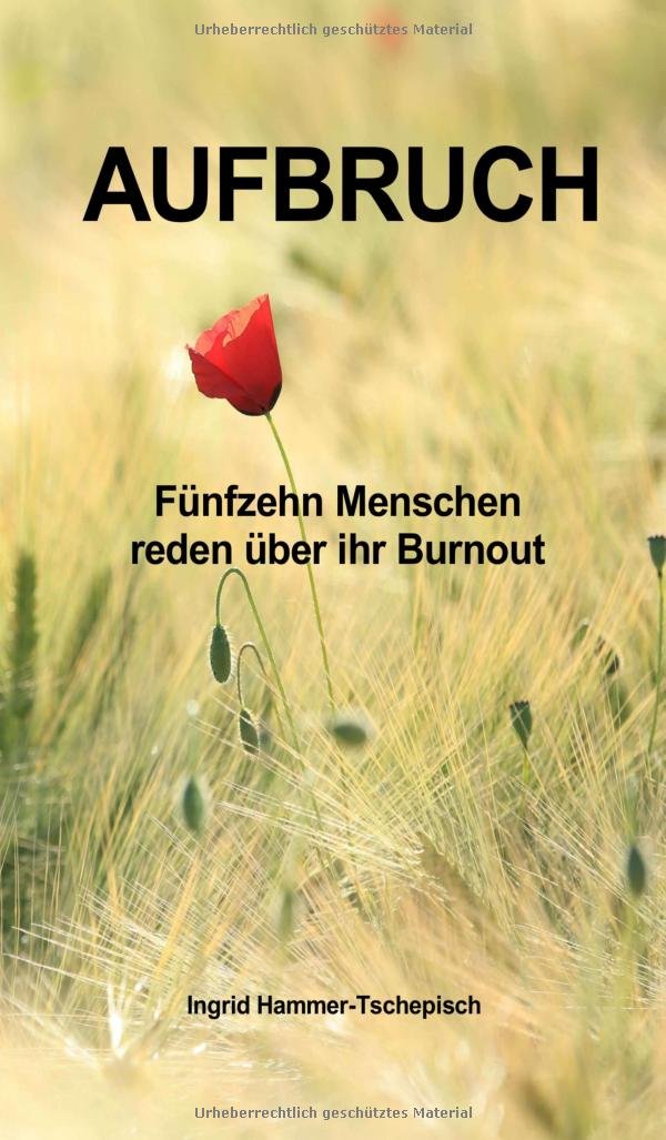 Aufbruch: Fünfzehn Menschen reden über ihr Burnout Medicine