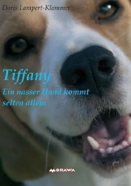 Tiffany, ein nasser Hund kommt selten allein International