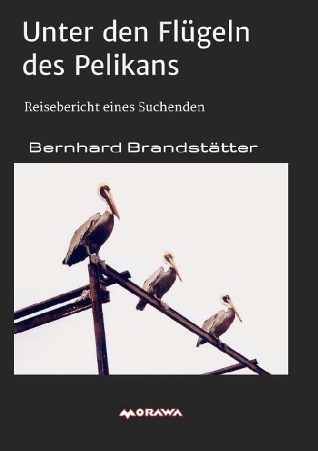 Unter den Flügeln des Pelikans: Reisebericht eines Suchenden Action & Adventure