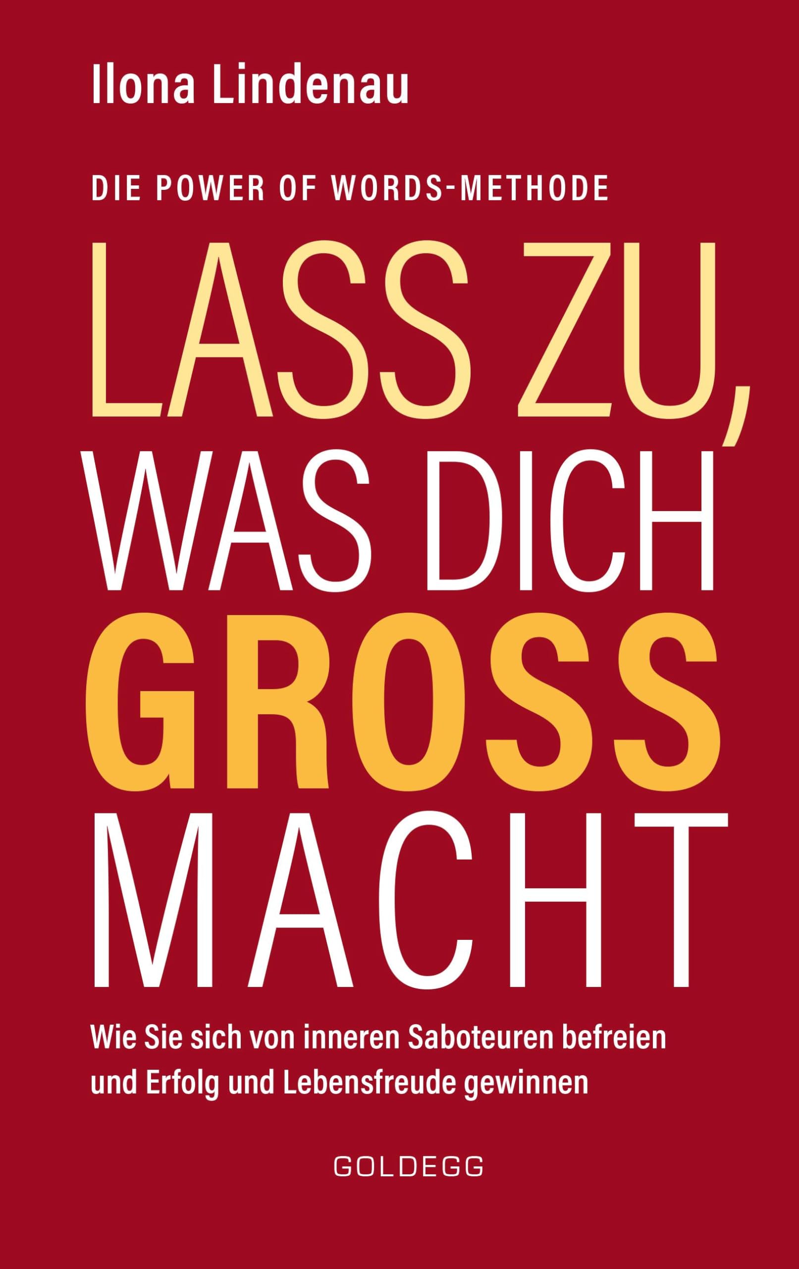 Lass zu, was dich groß macht: Wie Sie sich von inneren Saboteuren befreien und Erfolg und Lebensfreude gewinnen Business, Finance & Career