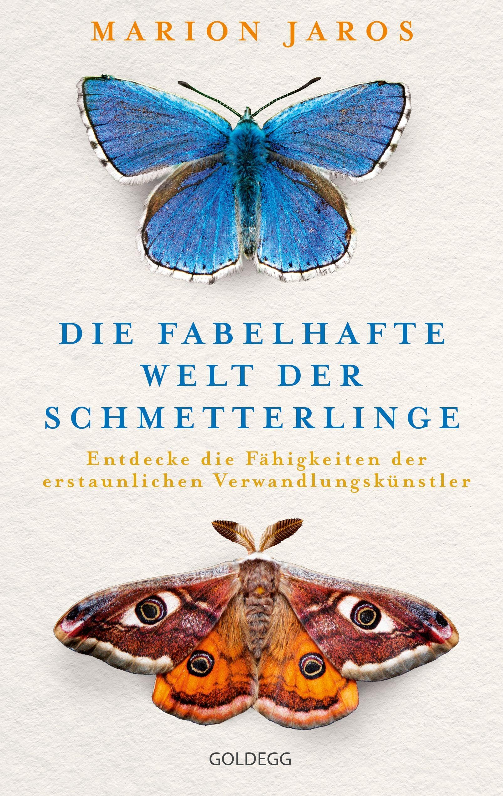 Die fabelhafte Welt der Schmetterlinge Mathematics
