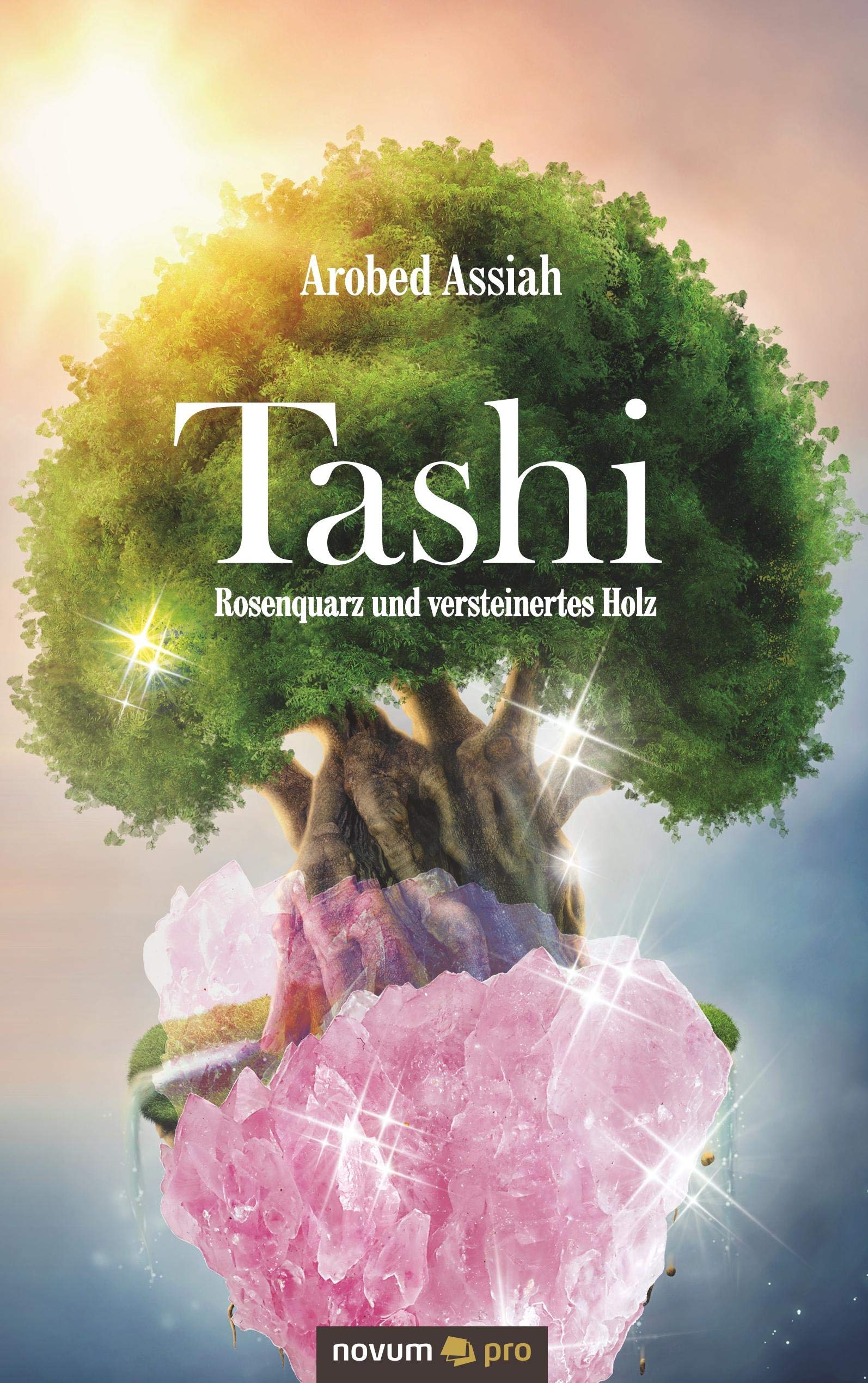 Tashi: Rosenquarz und versteinertes Holz Contemporary literature